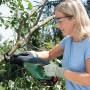 Frau sägt Ast mit Bosch 18V Akku-Säbelsäge AdvancedRecip 18. Inkl. Akku & Ladegerät.