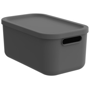 Rotho Multibox Albula 12 l Anthrazit