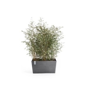 Ecopots Pflanztopf Paris Grau (HxBxT) 40 x 60 26 cm
