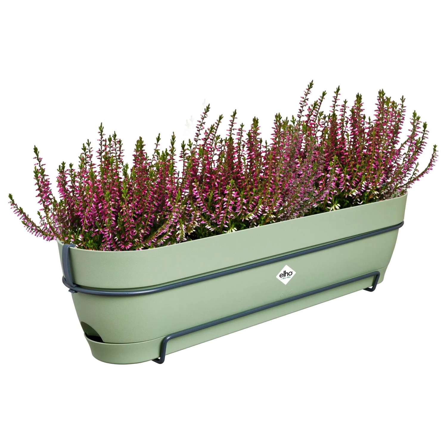elho blumenkasten grn Elho Easy Hanger 'Vibia Campana', Blumenkasten