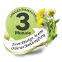 Symbol für 3 Monate Langzeitwirkung und Unkrautbekämpfung des Compo Rasendüngers plus Unkrautvernichter.