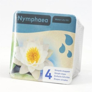 Verpackung des Seerosen-Sets mit weißer Blüte (Nymphea).