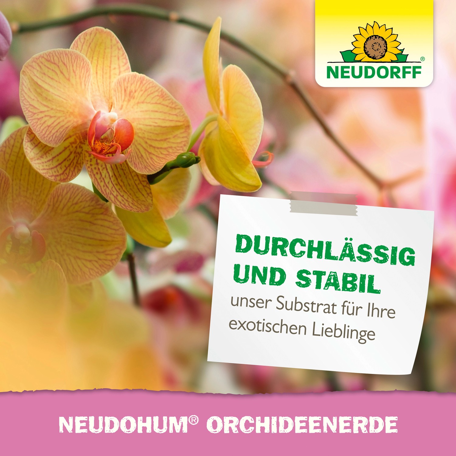 Neudorff NeudoHum Orchideenerde 3 l mit gelber Orchidee im Hintergrund.
