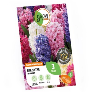 GROW by OBI Hyazinthen-Mischung, 3 Stück, verschiedene Farben für Beet und Garten.