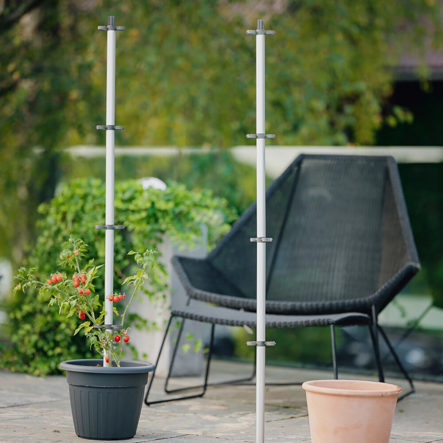 Gusta Garden Tomatenrankhilfe Tomato Buddy, 125cm, silber, im Pflanzkübel mit Tomatenpflanze.