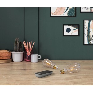 Eglo LED Filament Leuchtmittel ST64, 2er Set mit Fernbedienung, warmweißes Licht.