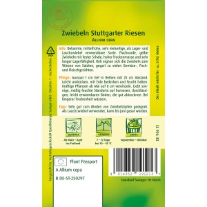 Samentüte Quedlinburger Zwiebel 'Stuttgarter Riesen', gelbe, flachrunde Zwiebeln.