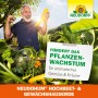 Mann freut sich über Zucchini im Hochbeet mit Neudorff Hochbeeterde. Fördert Pflanzenwachstum.