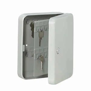 Burg Wächter Schlüsselkasten Favor KC 48, hellgrau, mit 48 Haken und zwei Schlüsseln.