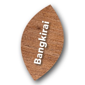 Holzöl Bangkirai: Musterstück in Blattform mit Aufschrift für Holzterrassen und Gartenmöbel.