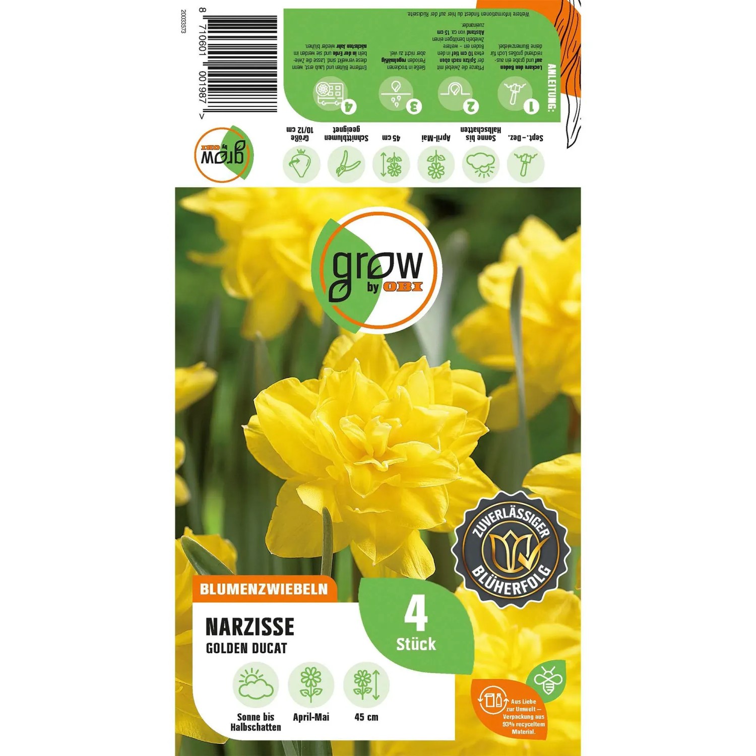 GROW by OBI Narzissen Golden Ducat, gelbe gefüllte Blüten, 4 Stück Blumenzwiebeln für Frühling.