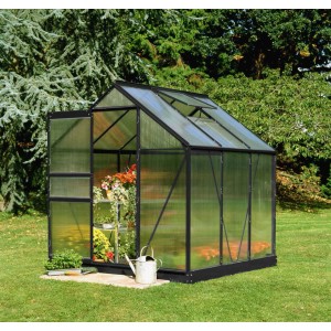 Schwarzes Halls Gewächshaus Popular 66 mit geöffneter Tür im Garten.