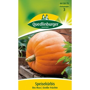 Samenpackung Quedlinburger Speisekürbis 'Big Max' mit großem, orangenem Kürbis.
