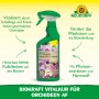 Neudorff BioKraft Vitalkur für Orchideen, 500ml Sprühflasche zur Pflanzenstärkung.