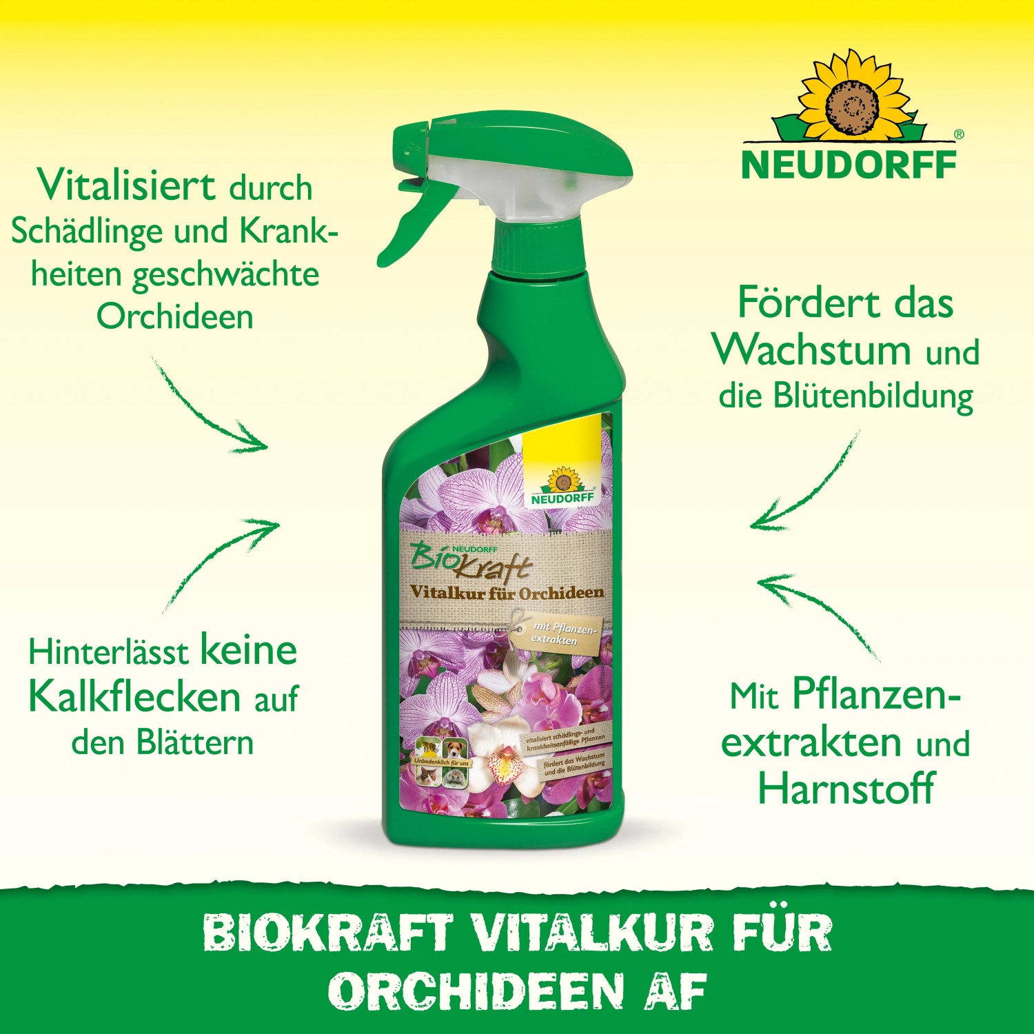 Neudorff BioKraft Vitalkur für Orchideen, 500ml Sprühflasche zur Pflanzenstärkung.