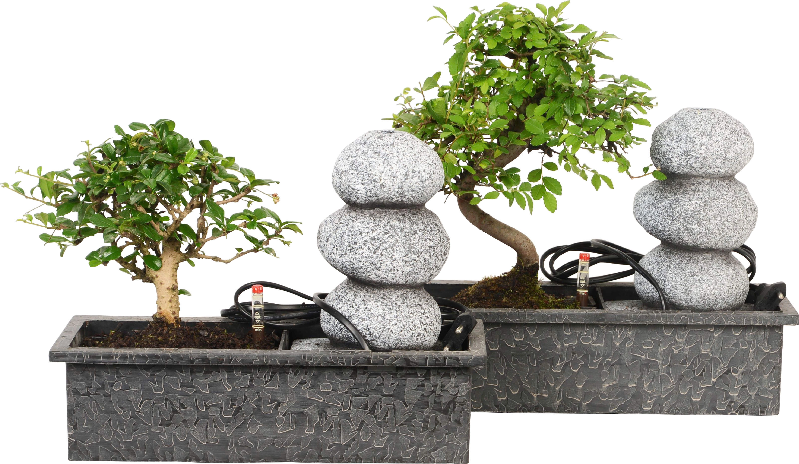 Wasserfall Arrangement mit Easycare Bonsai kaufen bei OBI