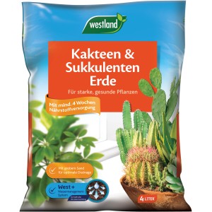 Westland Kakteen- & Sukkulentenerde, 4 Liter Sack für gesunde Pflanzen.
