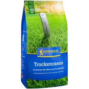 Kiepenkerl Trockenrasen, 1kg Packung Rasensaat für hitzebeständigen, grünen Rasen.