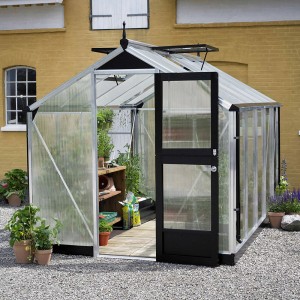 Juliana Gewächshaus Compact 8 Alu mit geöffneter Tür und Pflanzen.
