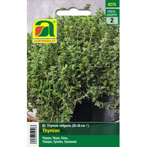 Austrosaat Saatgut Thymian Thymus vulgaris Topf und Fensterkisten Kultur möglich