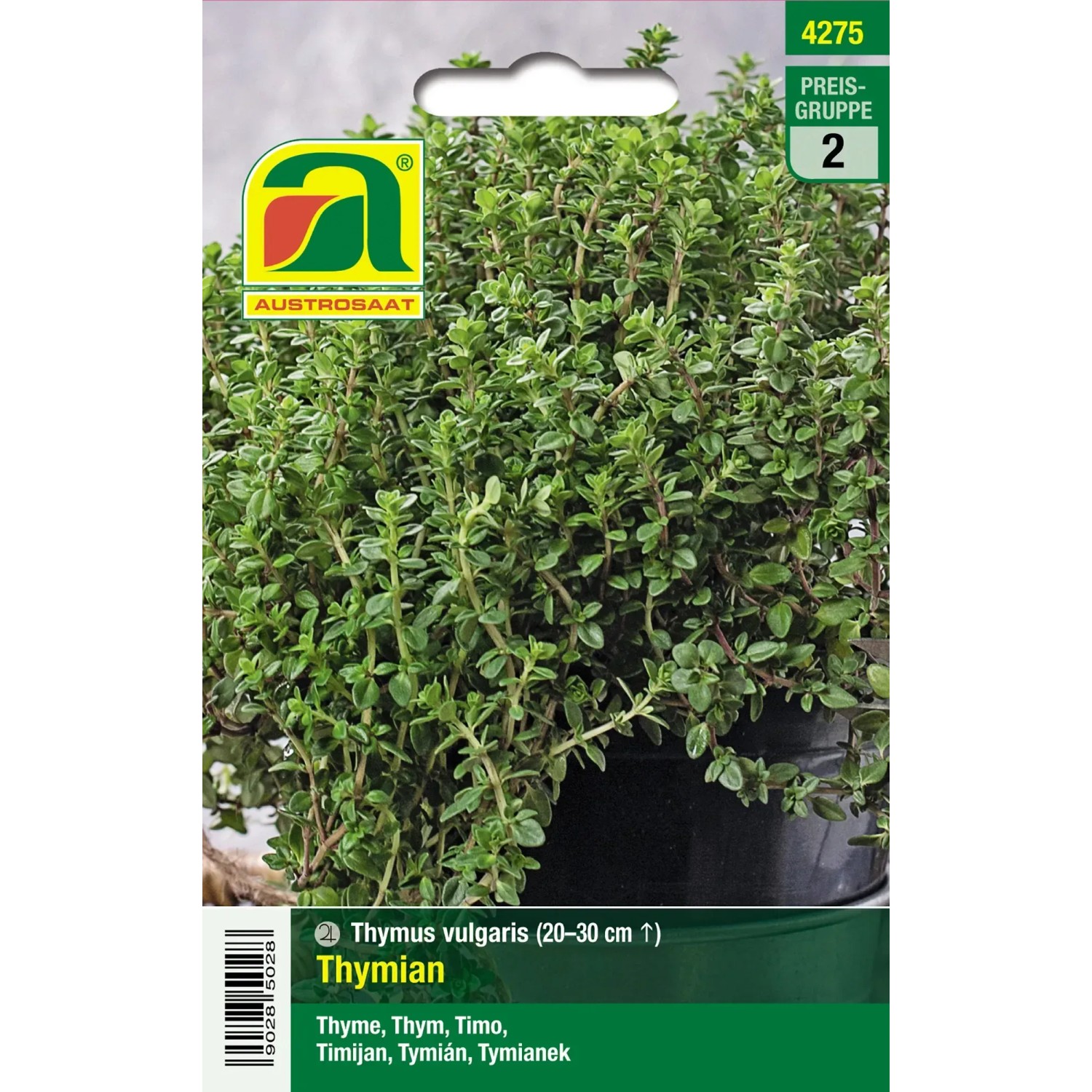 Austrosaat Saatgut Thymian Thymus vulgaris Topf und Fensterkisten Kultur  mglich kaufen bei OBI