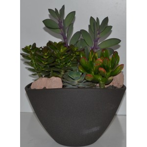 Bepflanzte Schale mit verschiedenen Sukkulenten in dunklem Topf, ca. 25 cm Durchmesser.