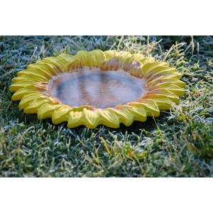 Dobar Insektentränke Fiore 30,5 cm x 30,5 cm x 4 cm Bunt