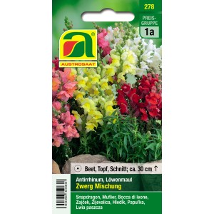 Austrosaat Löwenmaul Zwerg Mischung Saatgut mit bunten Blüten.