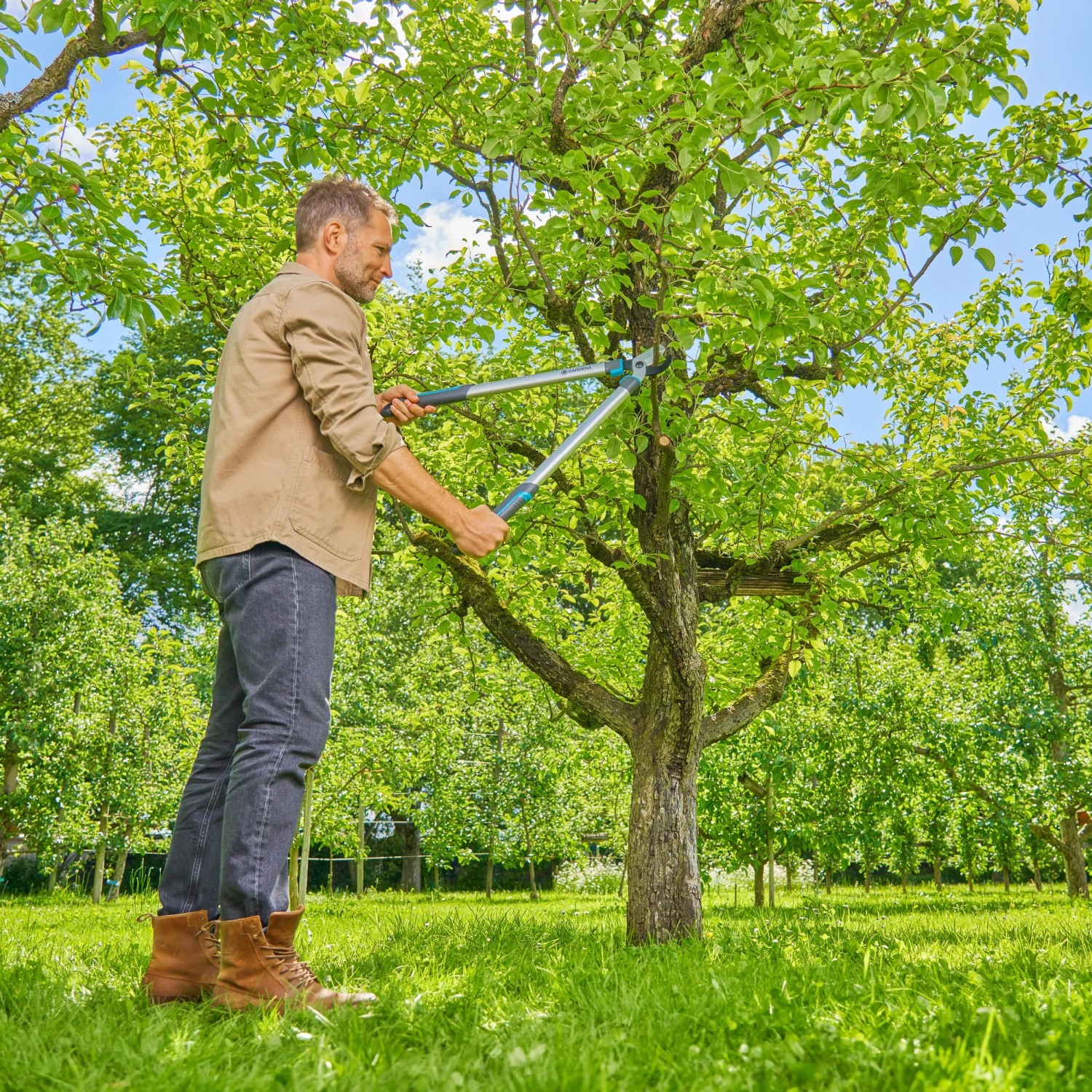 Mann schneidet Baum mit Gardena EasyCut S Astschere. Bypass-Schneidprinzip für präzise Schnitte.