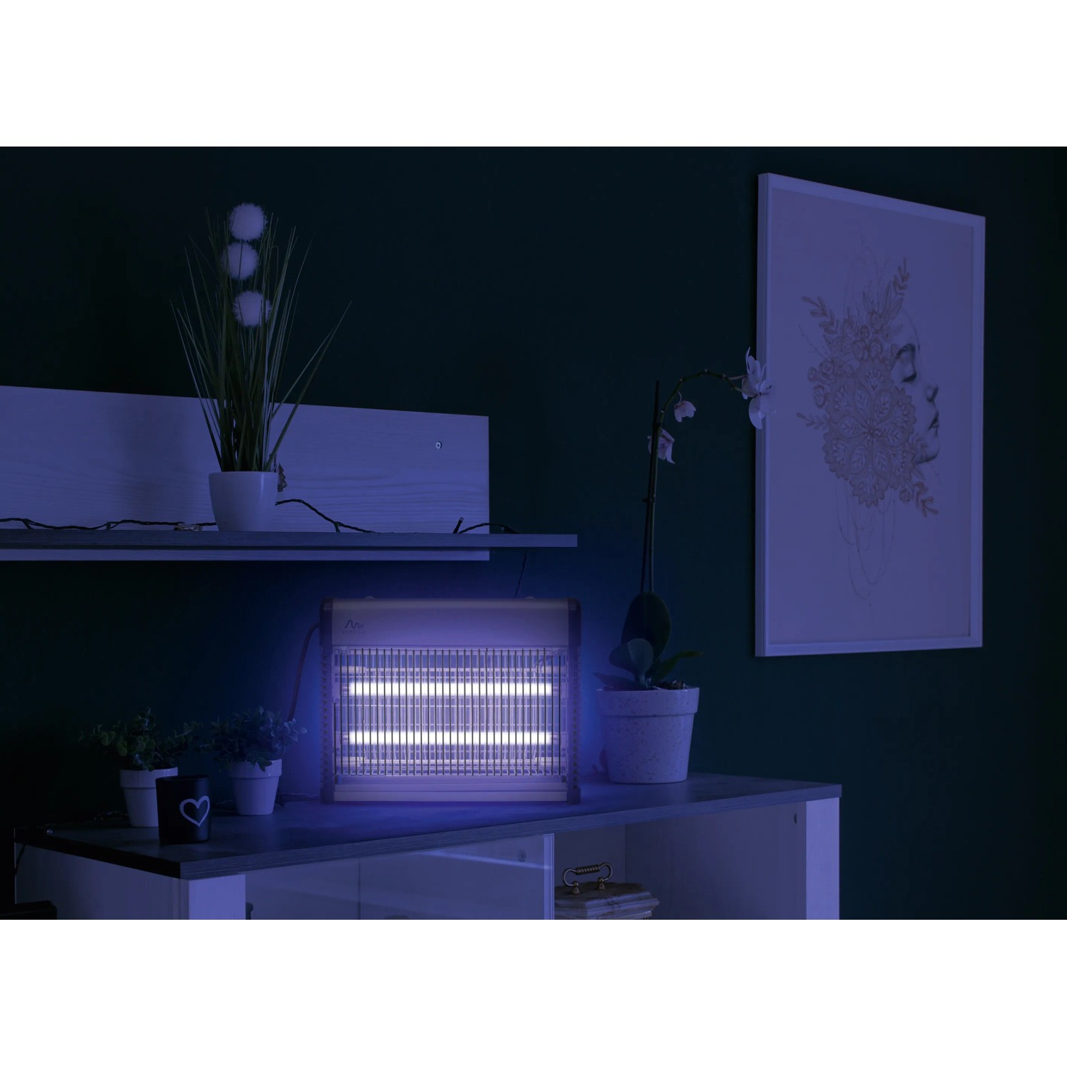 Gardigo Insektenvernichter Profi 70 m² im Einsatz: Lockt und vernichtet Insekten mit UV-Licht im Innenraum.