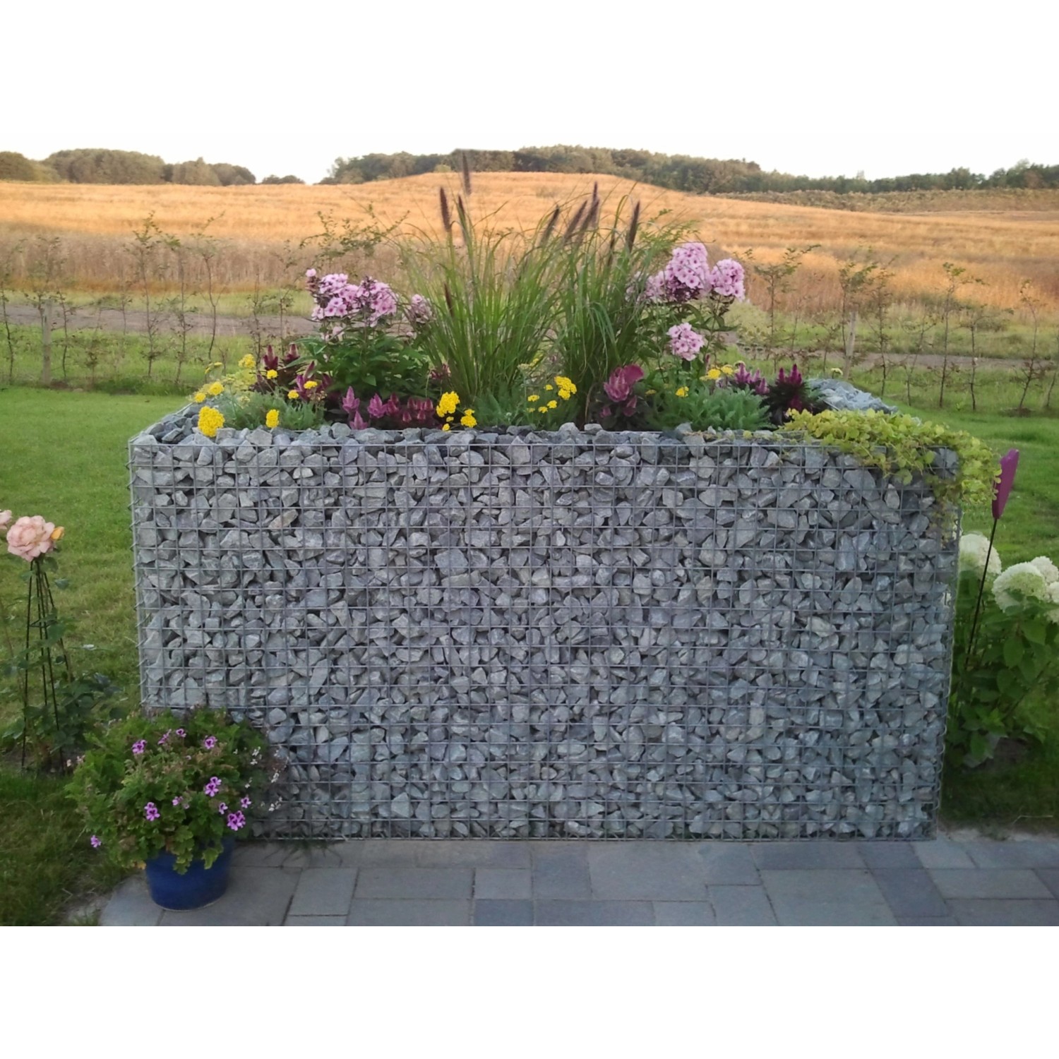 Eckiges Gabiona Gabionen-Hochbeet (40x100x40 cm) mit Steinfüllung und Bepflanzung.