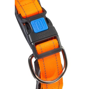 Detailaufnahme: Orangefarbenes ArmoredTech Hundehalsband Dog Control mit Sicherheitsverschluss.