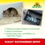Neudorff Rattenköder Sugan Depot: Köderbox mit Ratte und Köder für die Rattenbekämpfung.