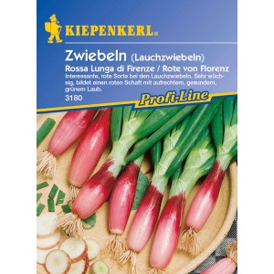 Kiepenkerl Lauchzwiebeln Rote von Florenz: Rote Zwiebeln mit grünem Laub auf Saatguttüte.