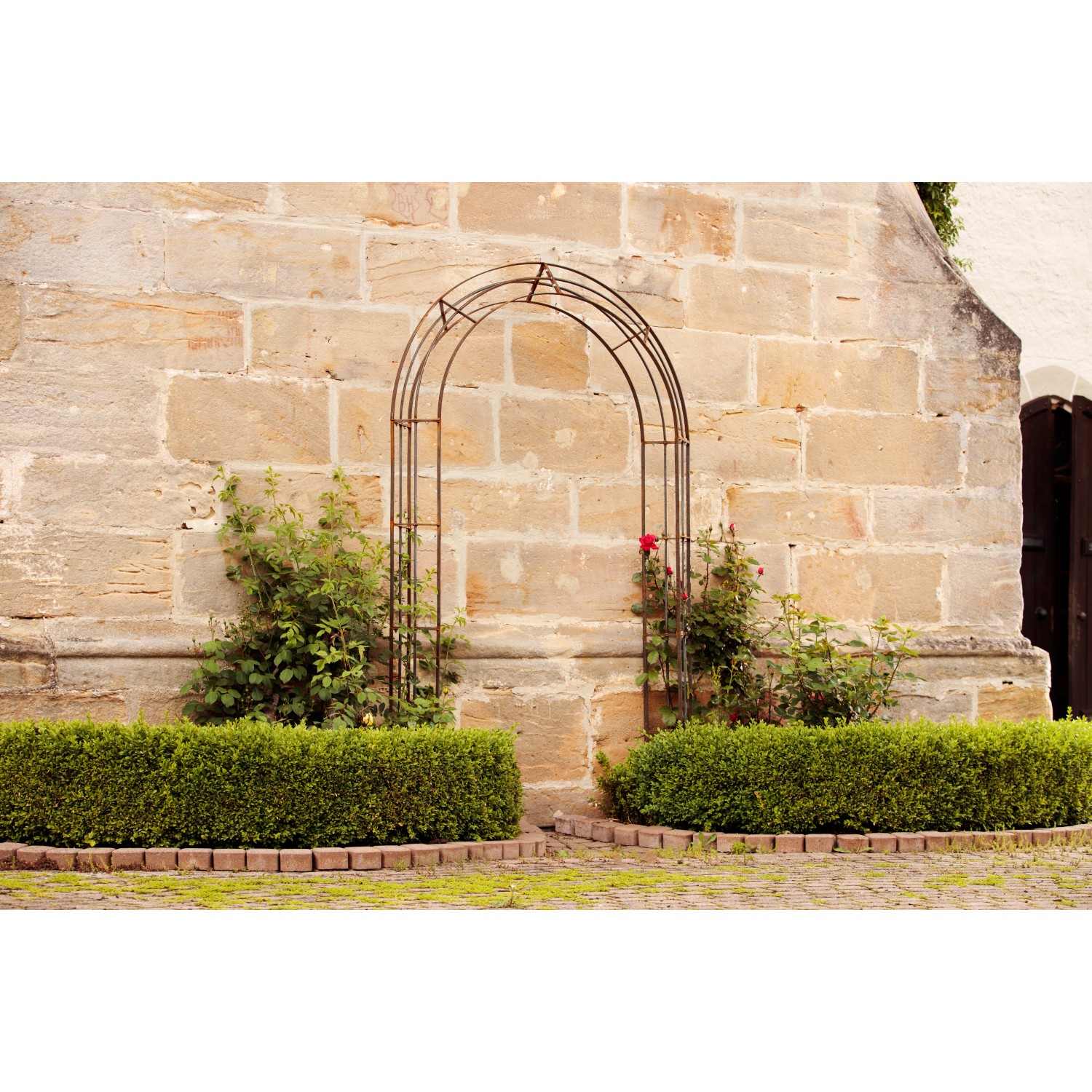 Feuerverzinkter Eleo Rosenbogen Matera (235 cm) mit Kletterpflanzen vor Steinmauer.
