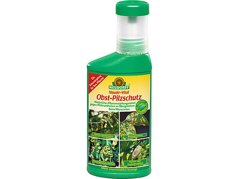 Neudorff NeudoVital ObstSpritzmittel 250 ml kaufen bei OBI