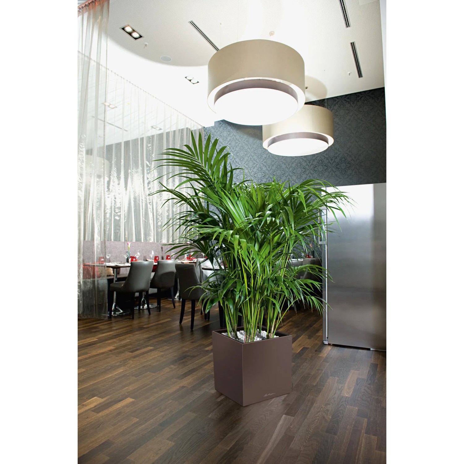 Lechuza Cube Premium Pflanzgefäß, 30 cm, Espresso metallic, mit grüner Pflanze im Innenraum.