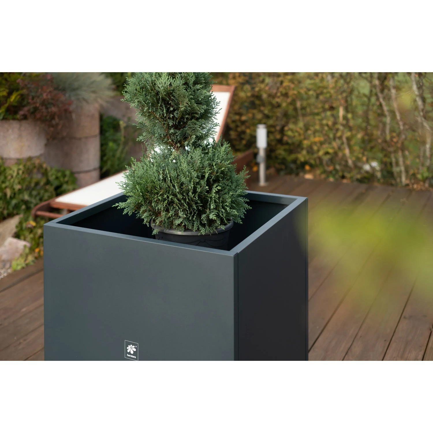Anthrazitfarbener Herstera Garden Pflanzkasten, 70x70x70 cm, mit Pflanze.