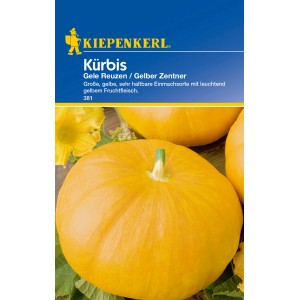 Kiepenkerl Kürbis 'Gelber Zentner', große gelbe Früchte, Gemüsesamen.