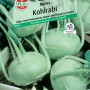 Sperli Kohlrabi Noriko Samen: Packung mit hellgrünen Kohlrabi Knollen und Blättern.