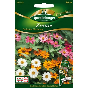 Quedlinburger Zinnien Profusion Mischung Saatgut mit farbenfrohen Blüten in Weiß, Orange und Pink.