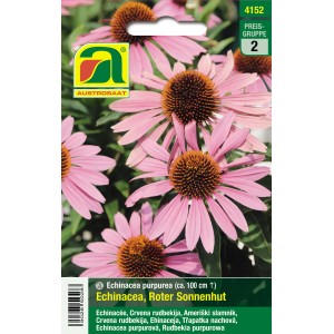 Austrosaat Roter Sonnenhut Samen, Echinacea purpurea, mehrjährige Kräutersamen.