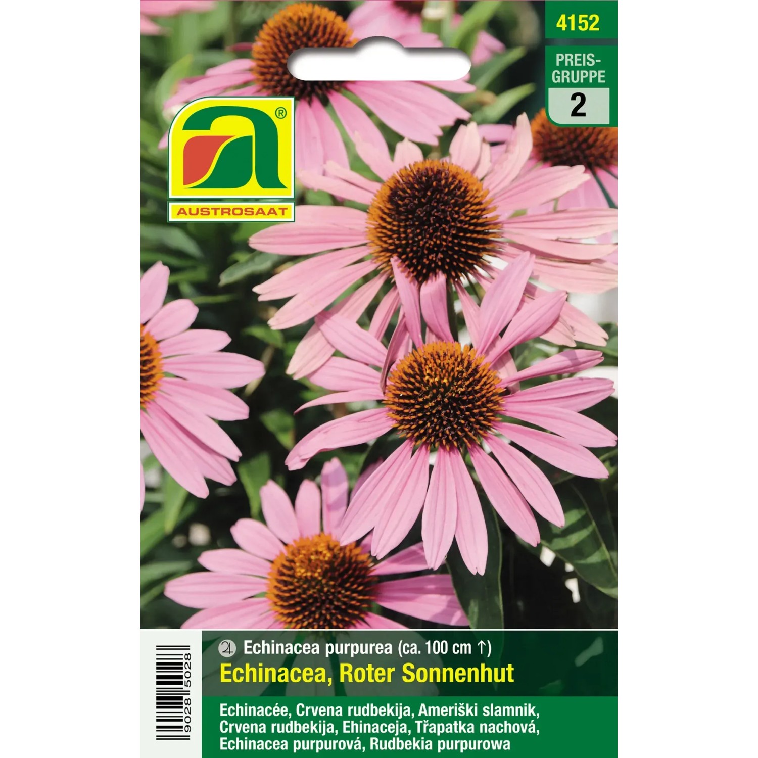 Austrosaat Saatgut Roter Sonnenhut Echinacea purpurea kaufen bei OBI