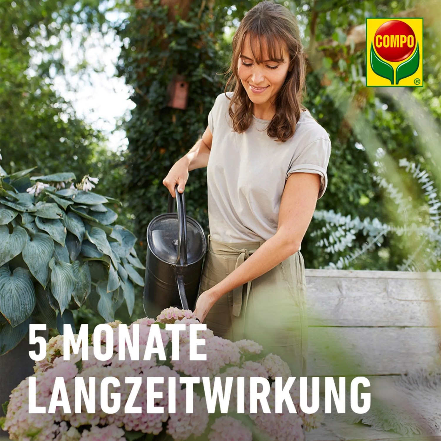 Compo Bio Rhododendron Langzeit-Dnger mit Schafwolle 750 g kaufen bei OBI