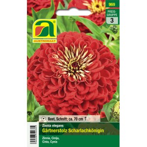 Saatgutpackung Zinnien 'Gärtnerstolz Scharlachkönigin' mit scharlachroter Blüte.