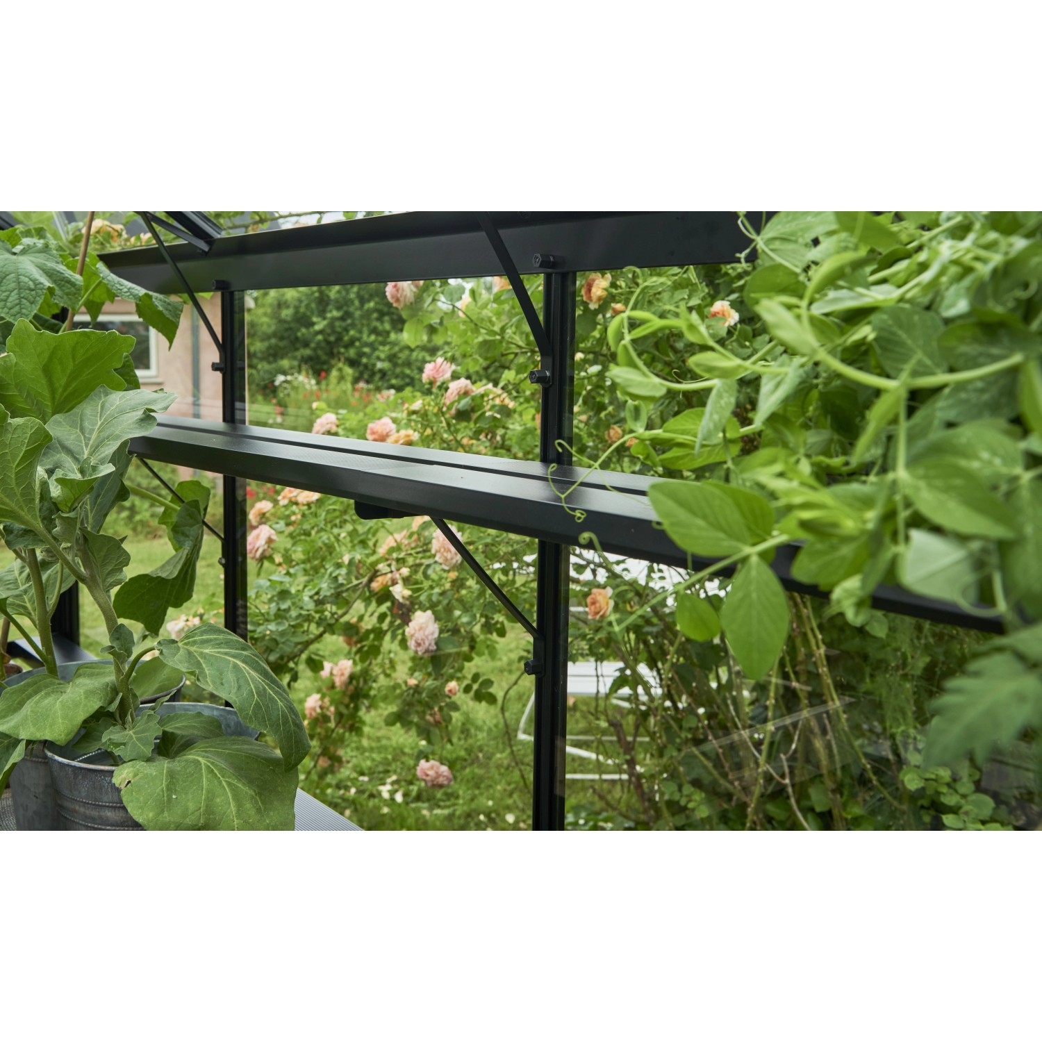 Schwarzes Halls Lamellenregal Cotswold für Gewächshaus, 3 Sektionen, 10x14x350 cm, mit Pflanzen.