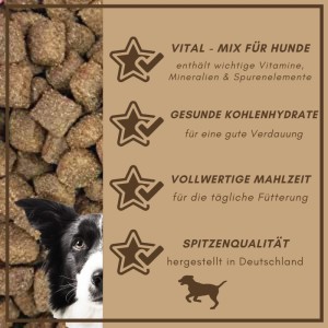 Supravit Hunde-Trockenfutter Lamm & Reis. Kibble, Hundegesicht & Info-Panel zu Vital-Mix, Kohlenhydraten, Qualität.
