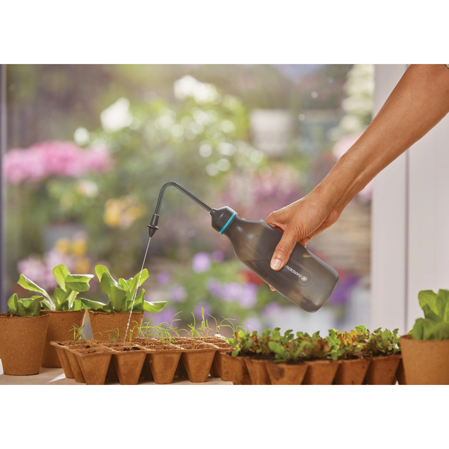 Gardena Soft-Drucksprüher 0,45 l beim Bewässern von Setzlingen.