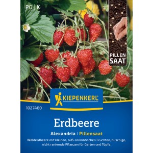 Kiepenkerl Profi-Line Walderdbeere "Alexandria" Pillensaat