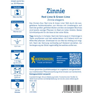 Kiepenkerl Zinnie Red Lime + Green Lime Saatgut Packung mit Zinnien in rosa und grün.